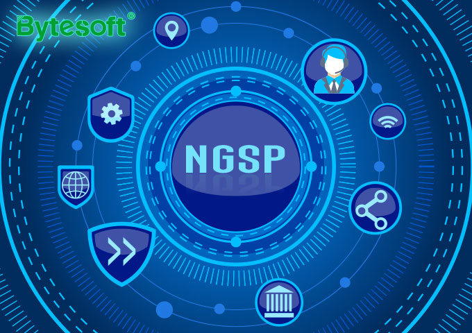 NGSP: The brother of LGSP - Bytesoft